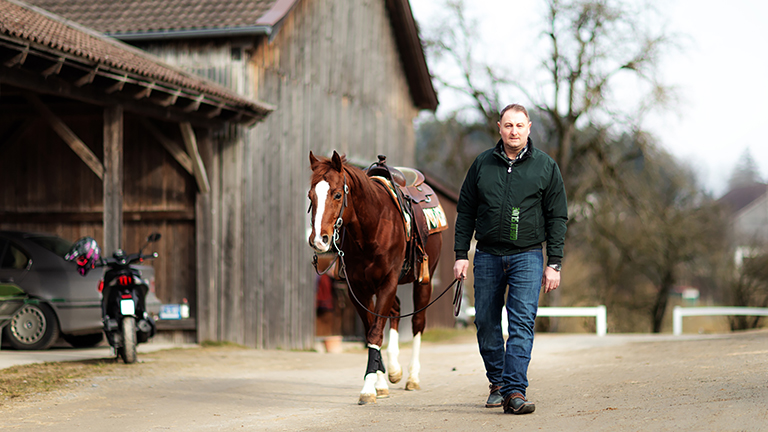 ausgeglichen, Röhrbeinlängenverhältnis, vorn, hinten, Bewegungsablauf, taktrein, flach, Tragkraft, aktiv, Untertritt, Interieur, Wesen, angenehm, nervenstark, Fruchtbarkeit, Abgabe, Hengsthalter, Wichtigkeit, dokumentiert, Fohlen, Anpaarung, Licht, Welt, erblickt, Stichtag, Onlinemeldung, Bedeckung, Hengsthalter, 30. November, Bedeckungsjahr, Stuteneigentümer, Meldefrist, Fohlengeburt, 1. August, festgelegt, Geburt, 1. Juli, Meldefrist, fristgerecht, Ausstellung, Equidenpass, DQHA-Geschäftsstelle, Züchter, notwendig, Datenübermittlung, einfach, Eingabefelder, kostenlos, schnell, gemeldet, intern, Bereich, Deutsche Quarter Horse Association e.V., Daimlerstraße 22, 63741 Aschaffenburg, AQHA – American Quarter Horse Association, https://www.aqha.com/de, digital, Mitgliederservice, myAQHA, DQHA Regionalgruppe, Ansprechpartner, Welt, weltweit, bekannt, Reining, rasant, Rinderklasse, Geschicklichkeit, geprägt, Trail, elegant, Western Pleasure, Hunter Klasse, englisch, Stil, Turnier, Einsteiger, Amateur, Profi, Höhepunkt